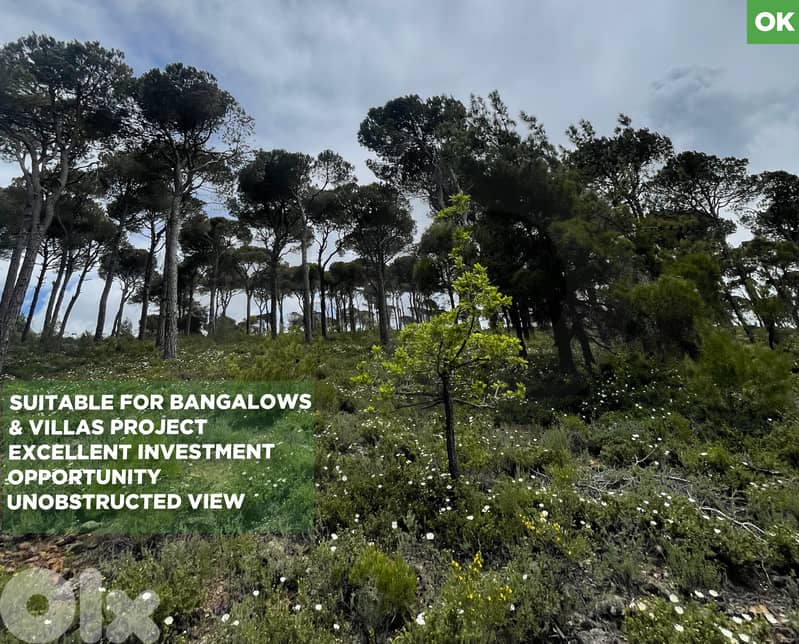 LAND/Bmohray/Aley/بمهريه /high-potential project / REF#OK136358 ! 0