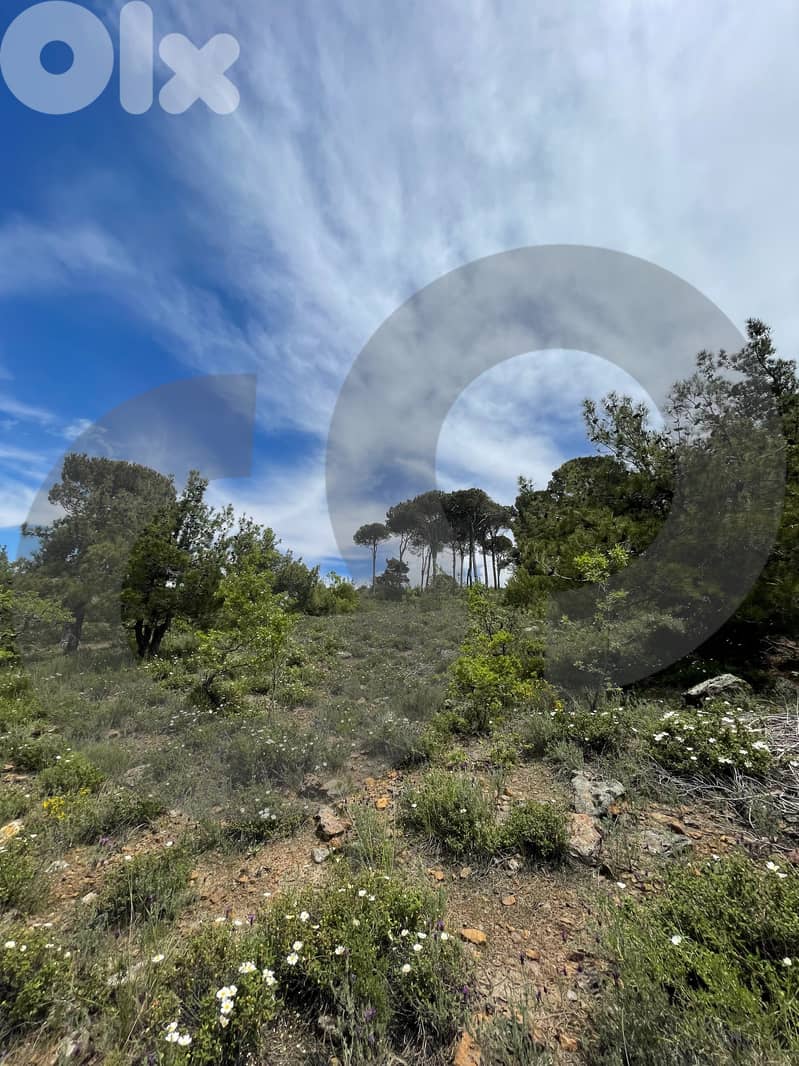 LAND/Bmohray/Aley/بمهريه /high-potential project / REF#OK136358 ! 3