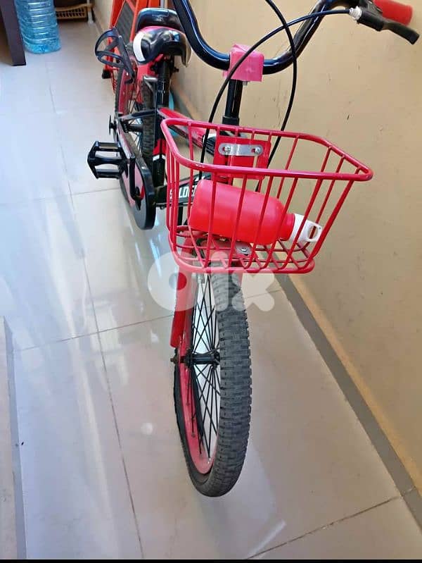 Kids Bicycle – Approx. 20” Size 0