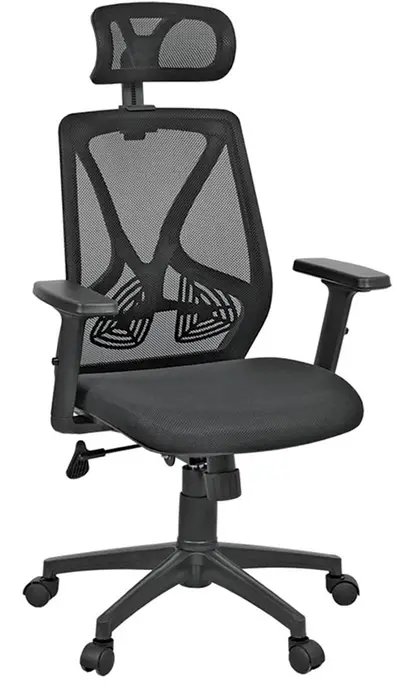 office chair Ergo