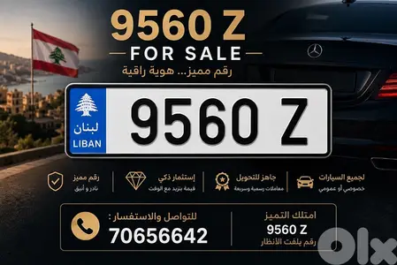 Car Plate Number for sale 9560 Z