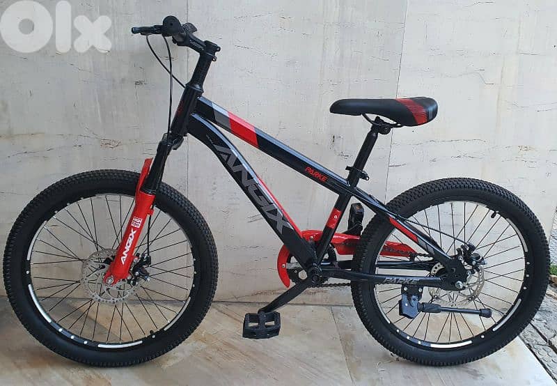 Bike size 22"  Aluminium rims disc brakes 1