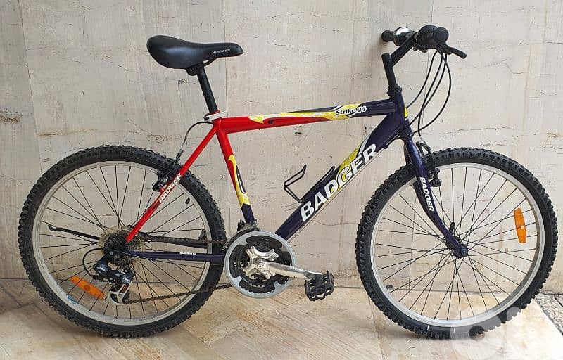 Badger bike 24" 21 speed shimano tourney 0