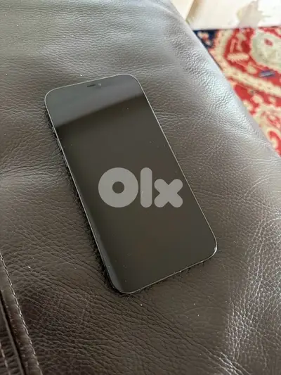 iPhone 12 Pro Max 256GB