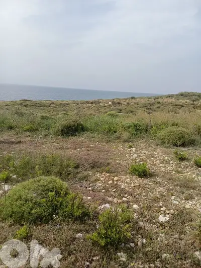 Beachfront lands for sale