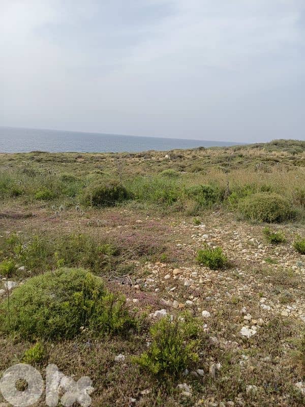 Beachfront lands for sale 0