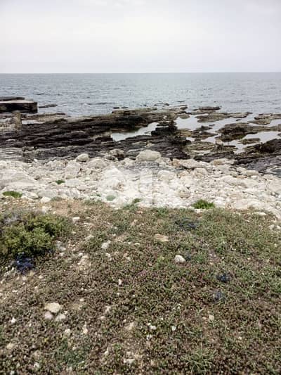 Beachfront lands for sale