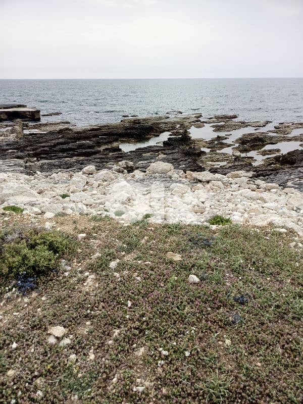 Beachfront lands for sale 1