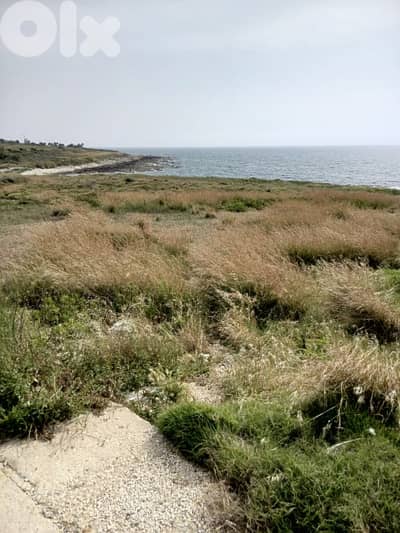 Beachfront lands for sale