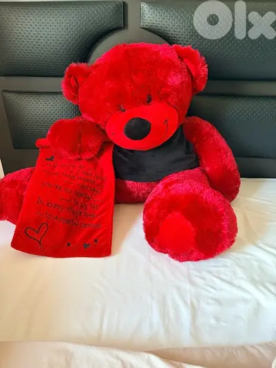 Big love teddy bear