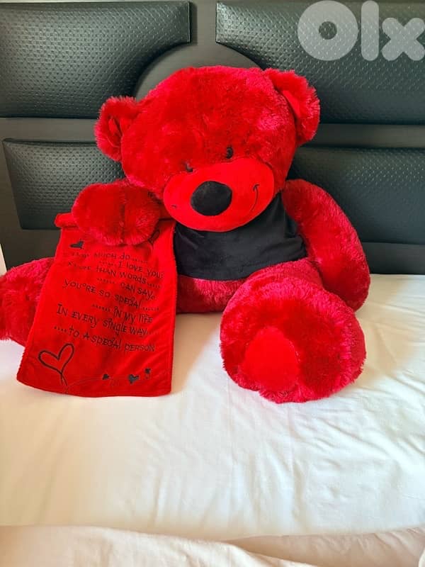 Big love teddy bear 0