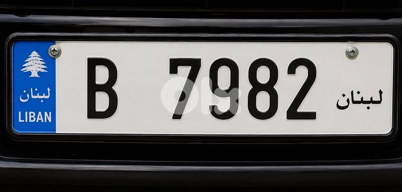 special car plate number 0