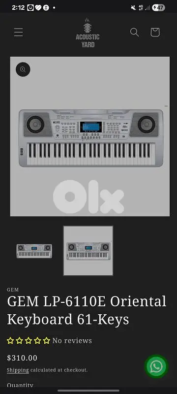 Oriental Keyboard 61-Keys professional