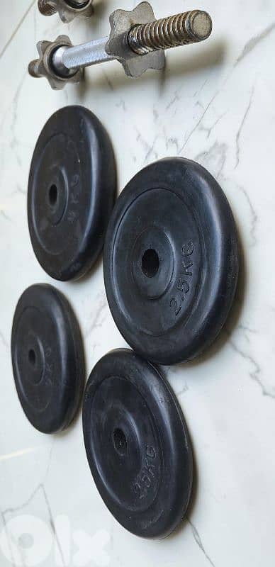 30KG Rubber Coated With 2 Bars 3