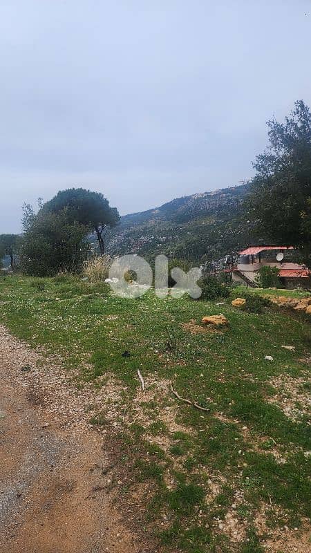 Industrial Land for Rent 0