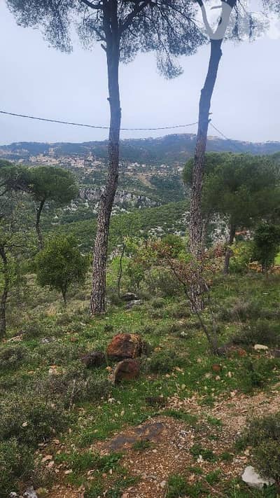 Industrial Land for Rent