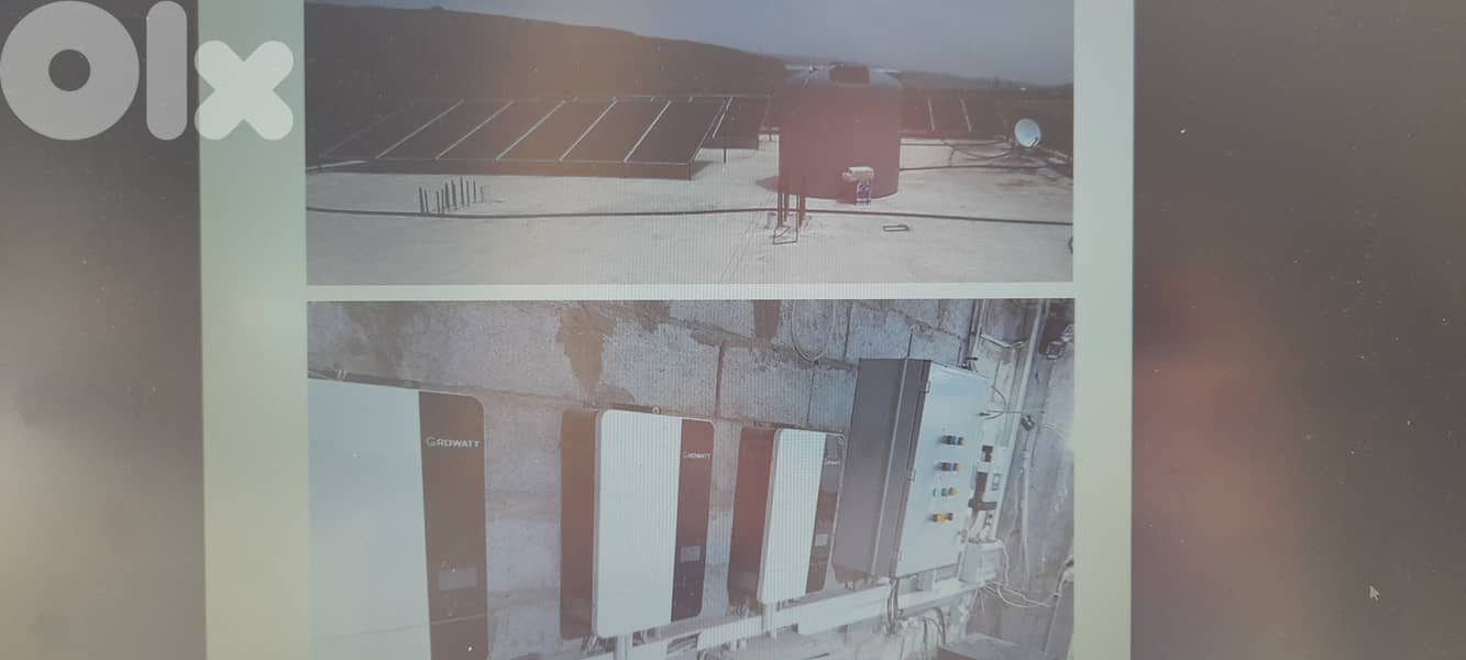 Cows Farm for sale in operation in Deir el Ahmar. 4
