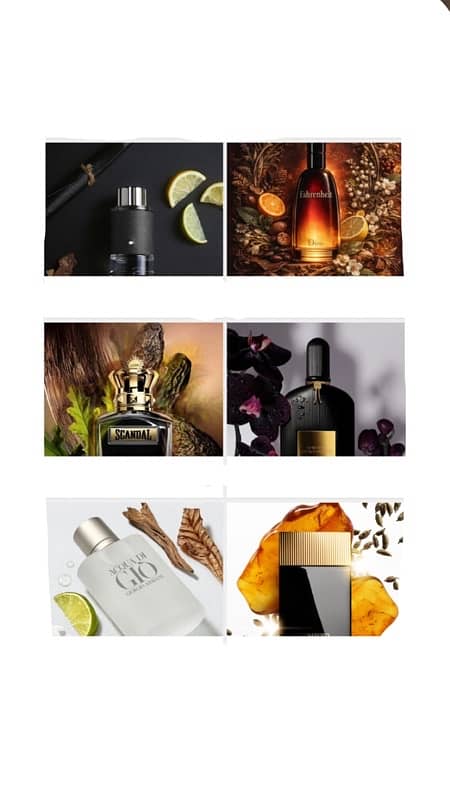 Best perfumes 17