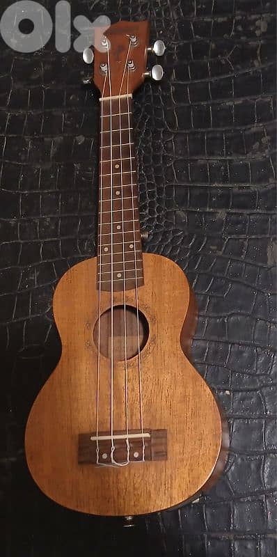 Ukulele Guitarist Electro-Acoustic 0
