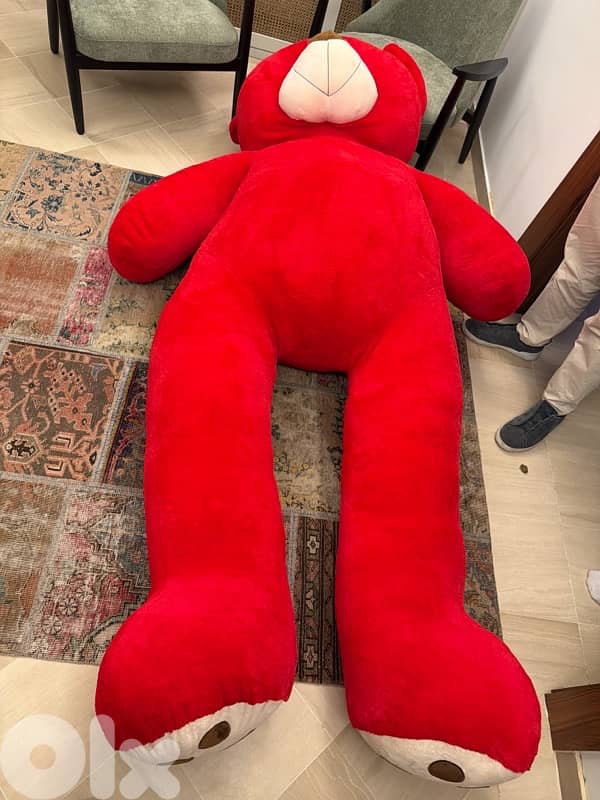 Teddy bear 0