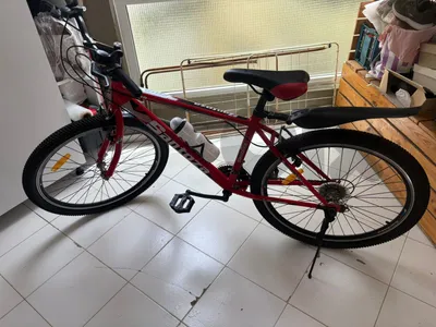 Bicycle Bicycle