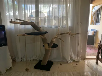 Natural Tree Scratcher