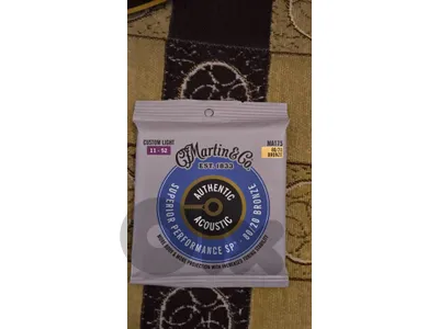 accoustic guitar strings martin