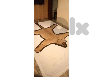 قطعة ما في غيرها بي لبنان