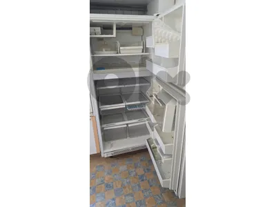 1 big refrigerator  and 1 small freezer