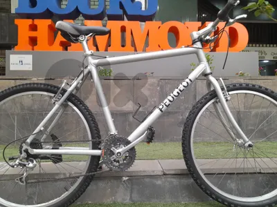 home bike