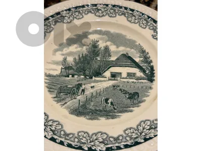 Original vintage plate - rare find