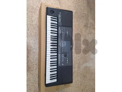 korg pa600
