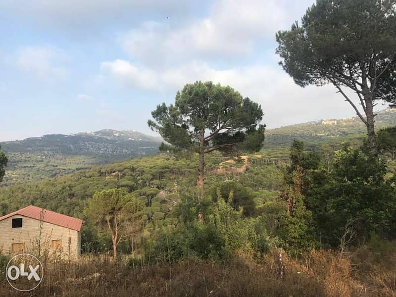 Qsaybeh Land for sale (Beautiful mountain and pine view ) 0