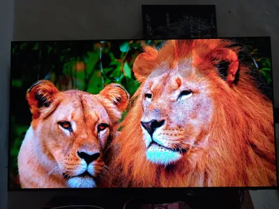 SAMSUNG S90C OLED