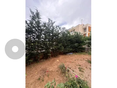 عرض ساخن 41 🔥 شجرة ليلاند للبيع – 3 متر 🌳 مع العديد من النباتات والزهور 🌸� عرض ساخن 41 🔥 شجرة ليلاند للبيع – 3 متر 🌳 مع العديد من النباتات والزهور 🌸�