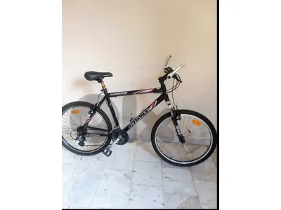 🚴 Giant USA Bicycle – Size 26