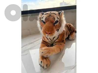 tiger plushy