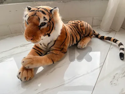 tiger plushy