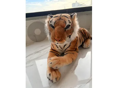 tiger plushy