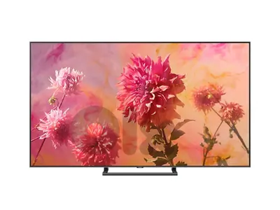 65" Q9FN 4K Smart QLED TV