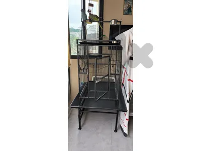 Large Parrot Cage Large Parrot Cage