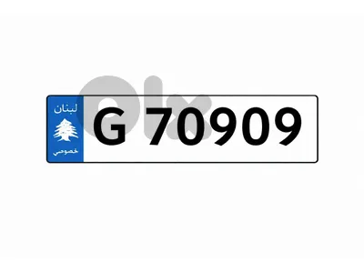 Special 5 Digits Car Plate Number