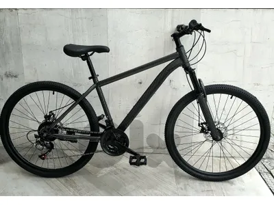 Carbon design bike 26" (brand new)