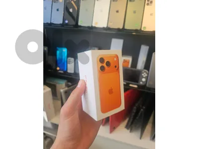 17 pro max mini
