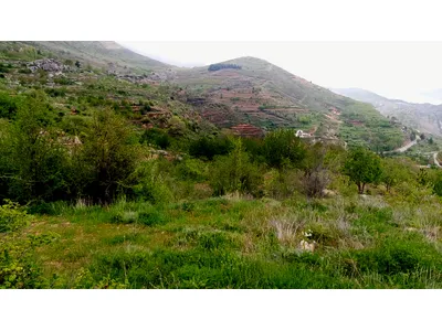 land for sale in tannourine أرض زراعية للبيع في تنورين