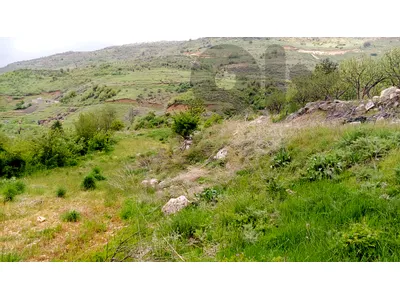 land for sale in tannourine أرض زراعية للبيع في تنورين
