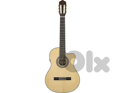 Angel Lopez Classic Guitar C948CBB