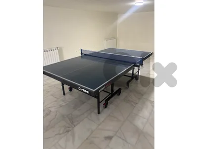STIGA EXPERT Roller CCS ITTF 25 MM Germany