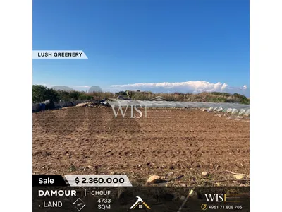 🌳 Prime 4733 SQM Land for SALE in Damour – Chouf!