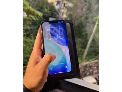 13 pro
